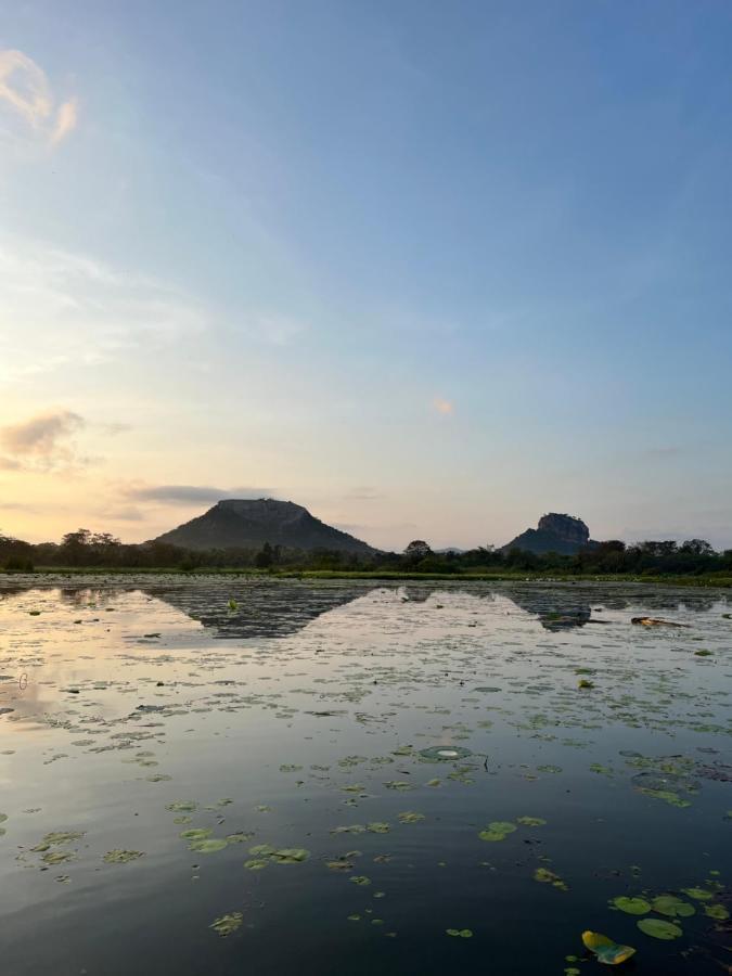 Gold Crown Residence Dambulla Eksteriør billede